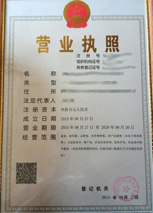 代办食品卫生流通许可证 拓远咨询的专业代理服务解析